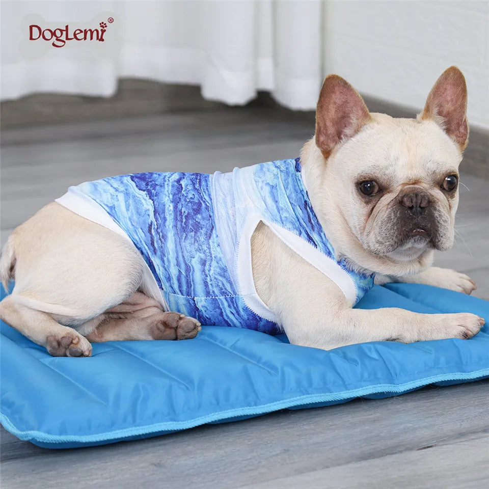 Summer Dog Cooling Vest Lightweight Breathable Dog Clothes Dog Cat Vest Pet Instant Cooling Shirt Puppy Accessories